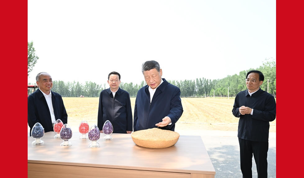 世界杯投注软件